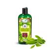 AntioxiTEA Green Tea Seed Oil (Camellia Sinensis), Virgin - 8oz (240ml) view 1