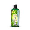 AntioxiTEA Green Tea Seed Oil (Camellia Sinensis), Virgin - 8oz (240ml) view 3