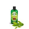 AntioxiTEA Green Tea Seed Oil (Camellia Sinensis), Virgin - 4oz (120ml) view 1