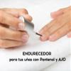 ENDURECEDOR uas con Pantenol y Ajo Terramar Brands view 3