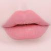 COSNORI Soft Drawing Overlip Maker - Long-Lasting Creamy Lip Liner, Easy-Blend, Multi-Use, Vegan Lip Pencil (02 DRY ROSE) view 2