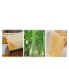 3pcs Natural Loofah Dish-Washing and Bathing Device Kitchen Sponge Scrub and Exfoliation Massage Organic Cleaning Tool view 4
