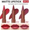 BINGBRUSH 2-in-1 Gradient Matte Lipstick & Lip Liner Set,3Pcs Long Lasting Waterproof Lip Crayon for Women, Flawless Contour, Lightweight Ombre Lip Color Pencil(03#&05#&08#) view 2