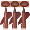 BINGBRUSH 2-in-1 Gradient Matte Lipstick & Lip Liner Set,3PcsLong Lasting Waterproof Lip Crayon for Women, Flawless Contour, Lightweight Ombre Lip Color Pencil(03#&05#&08#) view 1