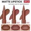 BINGBRUSH 2-in-1 Gradient Matte Lipstick & Lip Liner Set,3Pcs Long Lasting Waterproof Lip Crayon for Women, Flawless Contour, Lightweight Ombre Lip Color Pencil(01#&02#&04#) view 2