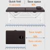 DKPLOE Portable Massage Table Lash Spa Bed Fold Massage Bed Esthetician Bed Foldable and Easy to Carry for Spa Foot Massage Facial Care Spa Tattoo(Brown) view 4