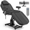 DeerDean Electric Tattoo Chair for Client Height Adjustable Armrests Spa Beds for Esthetician Facial Bed for Esthetician view 1