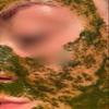Le Walk Algae Peeling Organic (5 Packs) view 4