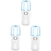 Beatifufu 3pcs Nano Spray Portable Face Humidifier Warm Mist Humidifier USB Rechargeable Beauty Instrument for Lady Random Style view 1