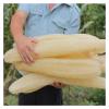 1pcs Natural Loofah Luffa Sponge Long Ecological Planting Body Shower Sponge Non-Stick Good Absorbency Dish Towels Bath(35-40cm) view 2