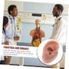 Didiseaon Silicone Ear Piercing Practice Model Realistic Simulation Ear Mannequin for Jewelry Display and Piercing Exercises Durable and Reusable Brown Right view 3