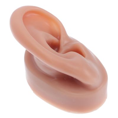 BELLIFFY Practical Silicone Ear Piercing Model for Jewelry Display and Training Flexible Lightweight Durable Right Ear Simulation Prop