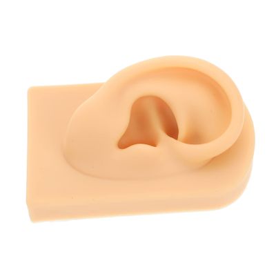 TOVINANNA Realistic Human Ear Model Silicone Piercing Training for Students and Nurses