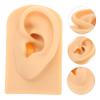 TOVINANNA Realistic Human Ear Model Silicone Piercing Training for Students and Nurses view 2