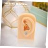 TOVINANNA Realistic Human Ear Model Silicone Piercing Training for Students and Nurses view 3