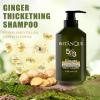 BOTANQUIL 473 ml(16 fl.oz) Ginger Thickening Shampoo and Rosemary Strengthening Shampoo for Hair Growth view 2