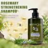 BOTANQUIL 473 ml(16 fl.oz) Ginger Thickening Shampoo and Rosemary Strengthening Shampoo for Hair Growth view 3