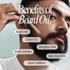 Hive & Holler Beard Oil for Men - Mysterious: Citrus, Sandalwood, Oakmoss - Premium Beard Care Oil - Natural Ingredients for Healthy Beard Growth, Softening, and Itch Relief - 1 fl oz view 3