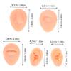 FOMIYES 1set Realistic Ear Models for Piercing Practice Silicone Simulation Nose and Lip Piercing Training Tools and Reusable for Authentic Skill Development view 2
