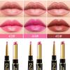 BINGBRUSH 3Pcs Double Ended Warm Bright Pink Plummy Terracotta Shine Lip Liner and Lipstick Makeup Combo Set for Women,Lipliner 24 Hours Original Waterproof Long Lasting Lip Stains Pencil Kit Set view 2