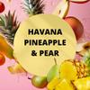 Black Canyon Havana Pineapple & Pear Scented Argan Oil Hair Shampoo, 16 Oz view 2