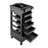 Salon Beauty Rolling Trolley Cart, 5 Layer Hair Salon Storage Cabinet Barber Organizer Tool with 5 Drawers Space Saving Rolling with 4 Wheels Beauty Cart for Hair Stylist view 1