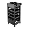 Salon Beauty Rolling Trolley Cart, 5 Layer Hair Salon Storage Cabinet Barber Organizer Tool with 5 Drawers Space Saving Rolling with 4 Wheels Beauty Cart for Hair Stylist view 3