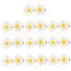 Baluue 10pcs Hawaiian Style Flower Hairpins for Women Hair Barrettes Smooth Surface Hair Clips for Daily Use and Special Occasions view 1