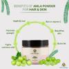 Amla Powder | Derived From Amla & Gooseberry |Emblica Officinalis | Amalaki For Hair Care | 100% Pure & Natural | Chemical & Preservatives Free | Hair Mask & Pack | In Plastic Jar - 200 GM view 4
