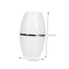 Outanaya Volcanic Face Roller for Oily Skin Control Natural Oil Absorbing Massage Tool with Rolling Design Portable Skin Care for Home Go Use view 2