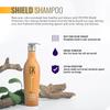 GK HAIR Shield Shampoo (650ml/22oz) Color Protection Deep Cleansing for Dry Dull Hair Sulfate Free and Balancing Conditioner 300ml For Dry Damaged Oily and Color Treated Hair view 4