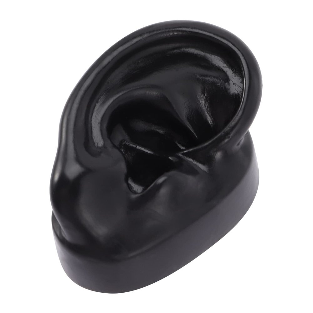 AUTSUPPL Anatomical Ring Ear Piercing Model No Silicone Fake Ear for Jewelry Display