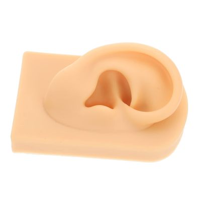 HONMEET Simulation Human Ear Model Silicone Artificial Ear Piercing Practicing Mold for Jewelry Display Training