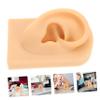 HONMEET Simulation Human Ear Model Silicone Artificial Ear Piercing Practicing Mold for Jewelry Display Training view 2