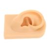 Baluue Realistic Human Ear Model Perfect for Piercing Practice Ear Mold Making view 1