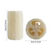 4Pcs/Pack Organic Loofahs Natural Luffa Body Wash Sponge view 2