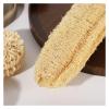 5pcs Nature Organic Loofah Sponge Large Long Whole Loofah Sponge for Body Wash and Kitchen Cleaning view 3