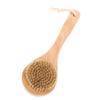 Gogogmee 3pcs Shower Brush for Body Exfoliation Bathing Brush with Wooden Handle Gentle Massage view 4
