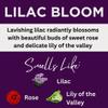 Black Canyon Lilac Bloom Scented Argan Oil Hair Shampoo and Conditioner Set, 16 Oz Shampoo - 16 Oz Conditioner view 2