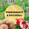 Black Canyon Pomegranate & Patchouli Scented Argan Oil Shampoo Conditioner and Hair Detangler Set, 16 Oz view 2