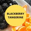Black Canyon Blackberry & Tangerine Scented Argan Oil Shampoo Conditioner and Hair Detangler Set, 16 Oz view 2