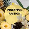 Black Canyon Pineapple Passion Scented Argan Oil Shampoo Conditioner and Hair Detangler Set, 16 Oz view 2