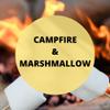 Black Canyon Campfire & Marshmallow Scented Argan Oil Shampoo Conditioner and Hair Detangler Set, 16 Oz view 2