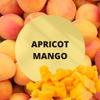 Black Canyon Apricot Mango Scented Argan Oil Shampoo Conditioner and Hair Detangler Set, 16 Oz view 2