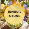 Black Canyon Jonquil Ozone Scented Argan Oil Shampoo Conditioner and Hair Detangler Set, 16 Oz view 2