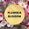 Black Canyon Plumeria Blossom Scented Argan Oil Shampoo Conditioner and Hair Detangler Set, 16 Oz view 2