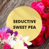 Black Canyon Seductive Sweet Pea Scented Argan Oil Shampoo Conditioner and Hair Detangler Set, 16 Oz view 2