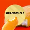 Black Canyon Orangesicle Scented Argan Oil Shampoo Conditioner and Hair Detangler Set, 16 Oz view 2