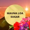 Black Canyon Mauna Loa Sugar Scented Argan Oil Shampoo Conditioner and Hair Detangler Set, 16 Oz view 2