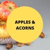 Black Canyon Apples & Acorns Scented Argan Oil Shampoo Conditioner and Hair Detangler Set, 16 Oz view 2
